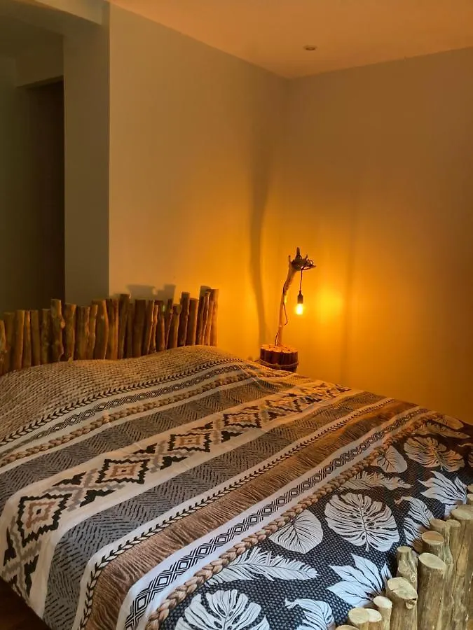 Domaine Du Moulin Bed & Breakfast Mouzieys-Teulet France